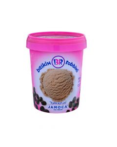 BASKIN ROBINS JAMOCA ICE CREAM 500ML