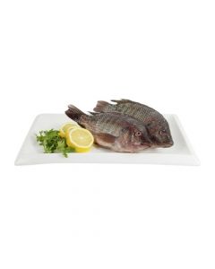 FRESH TILAPIA 500G