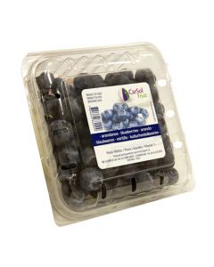 BLUE BERRY PACKET