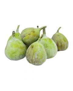 FIGS PACKET