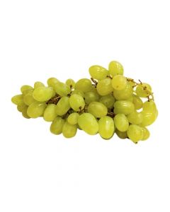 GRAPES WHITE SEEDLESS  500G