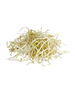 BEANS SPROUT 250G