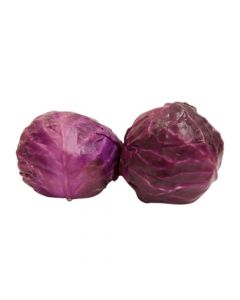 CABBAGE RED 1500G