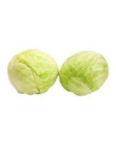 CABBAGE ROUND 1500G