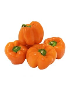 CAPSICUM ORANGE 500G