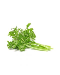 CELERY  500G