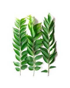 CURRY LEAVES  100G