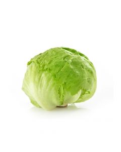 LETTUCE ICEBERG SPAIN 500G