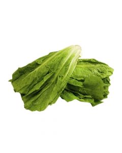 LETTUCE ROMAINE MIDDLE EAST 300G