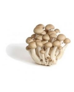 MUSHROOM BROWN 1KG