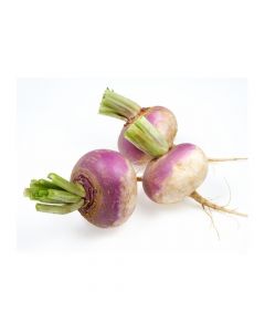 TURNIP 500G