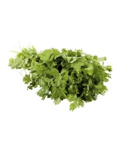 FRESH CORIANDER LEAVES PC