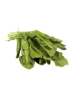 FRESH SALK LEAVES PC