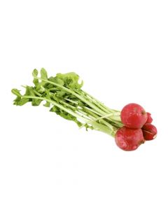 RED RADISH