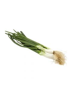 SPRING ONION