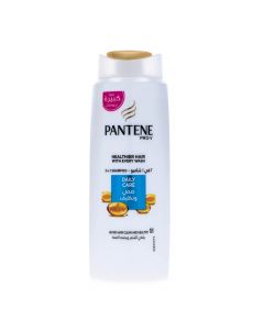 PANTENE PRO V DAILY CARE 2 IN 1 SHAMPOO AND CONDITIONER  600 ML