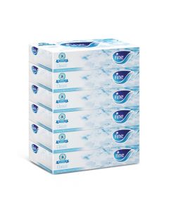 FINE FACIAL TISSUE CLASSIC 100x2Ply 6 BOX