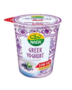 NADA GREEK BLUEBERRY LOW FAT YOGHURT 360GM