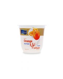 AL RAWABI FRUIT YOGHURT ORANGE 130GM