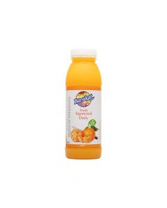 BARAKAT FRESH MANDARINE JUICE 330ML