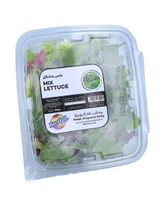 BARAKAT FRESH MIXED LETTUCE 250GM