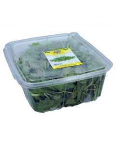 BARAKAT FRESH BABY SPINACH 250GM