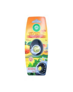 AIRWICK CAR FRESHENER SUN2.5ML