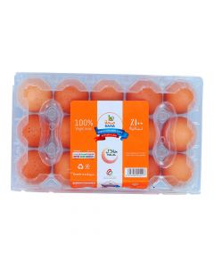 SAHA LARGE BROWN EGGS 15PC