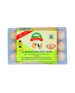 OVA PLUS BALADY EGGS BOX 15PC