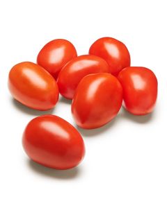 TOMATO PLUM 900G