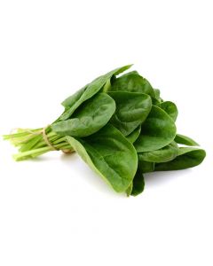 FRESH SPINACH LEAVES